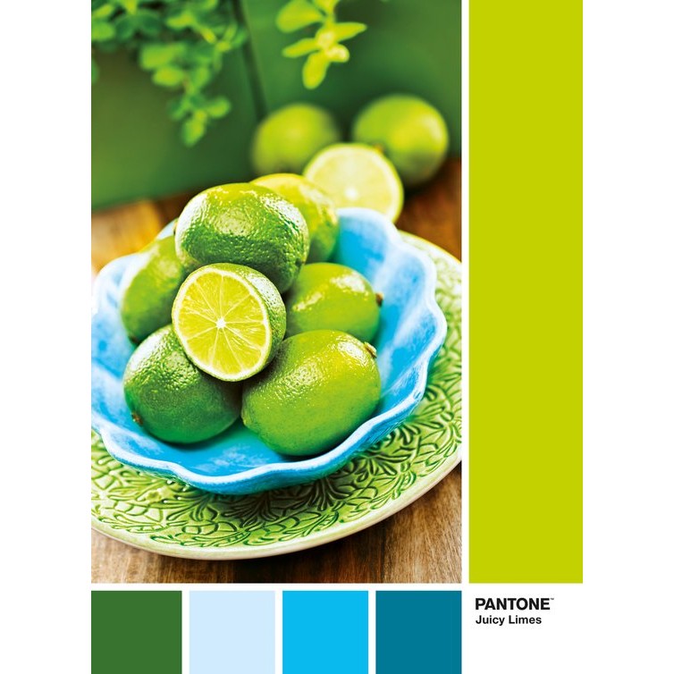 Clementoni Legpuzzel – Pantone Puzzle Collectie – Lime Punch – 1000 stukjes, puzzel volwassenen