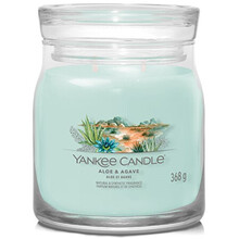 Aloe & Agave Signature Candle ( aloe + agáve ) – Vonná svíčka